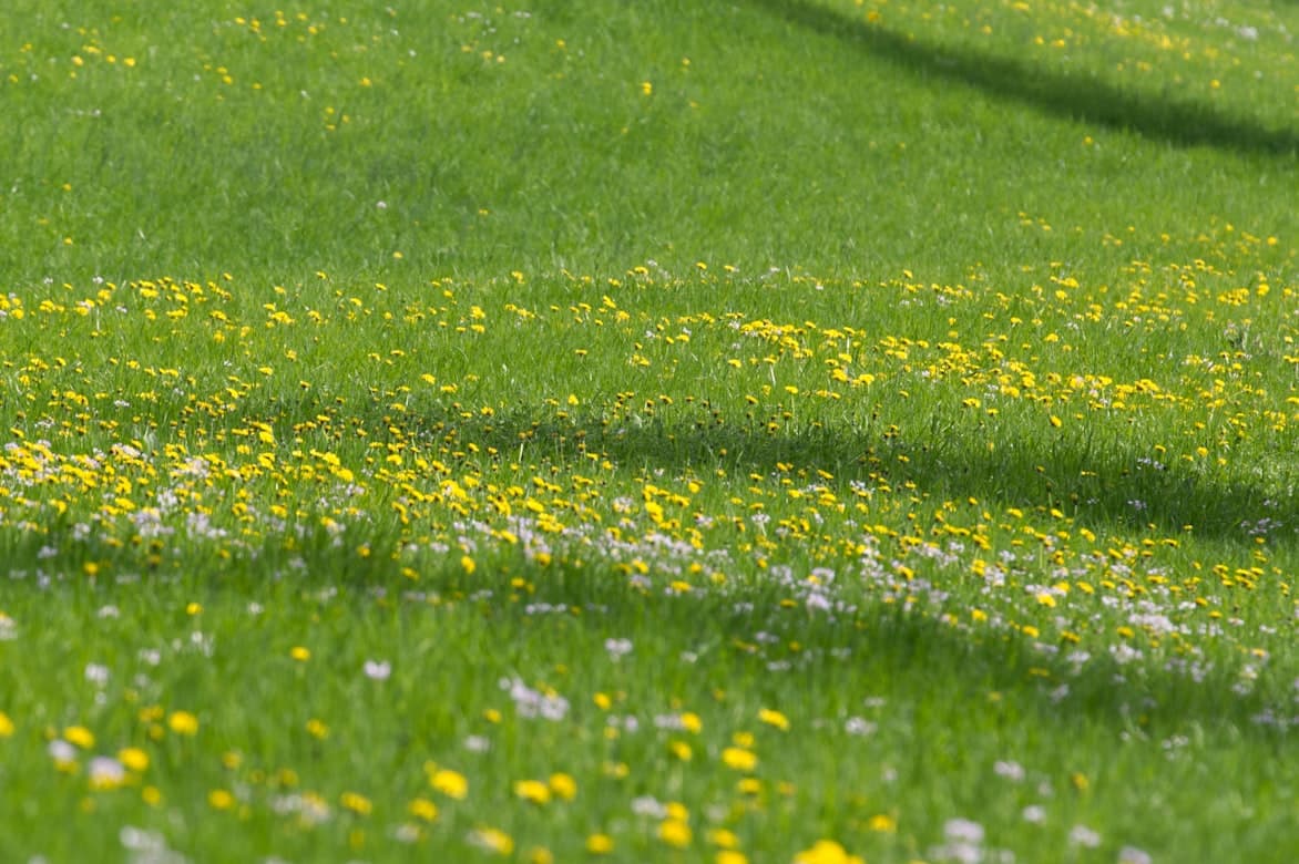 작은 브랜드의 무기들: (4)작은 브랜드가 마케팅하는 법